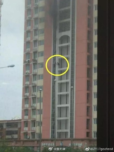 �о������Ͳ����l(f��)��ʮ�Ǿ���^��������������¼��ˣ�