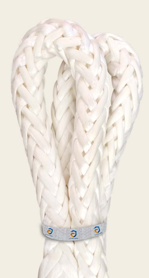 �Ї�������ccs�J�C�����w�S�K�S��