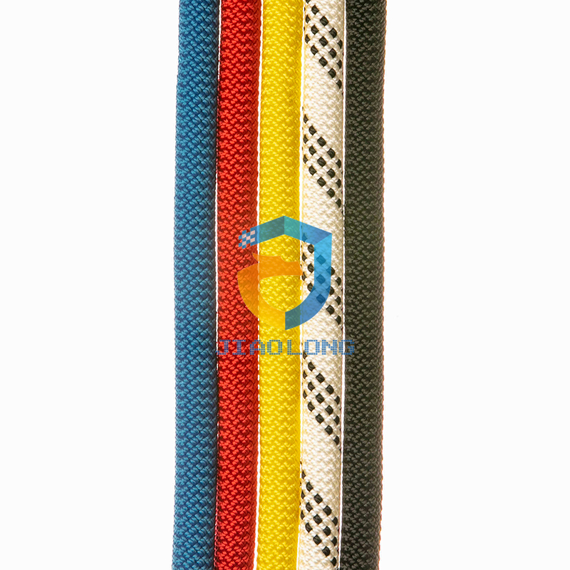 �o���K���l