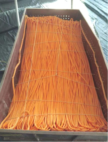 ����̖�طN�K�|