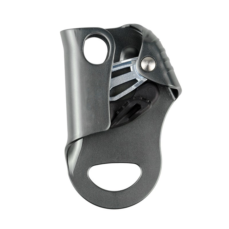 �o(w��)����ʽ������